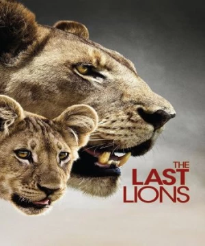 Bầy Sư Tử Cuối Cùng | The Last Lions (2011)