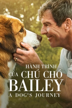 Hành Trình Của Chú Chó Bailey | A Dog's Journey (2019)