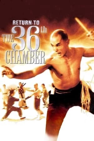 Trở Lại Thiếu Lâm Tam Thập Lục Phòng | Return to the 36th Chamber (1980)