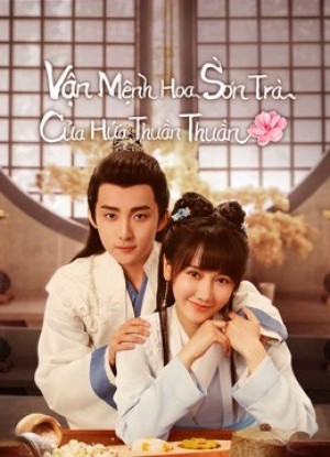 Vận Mệnh Hoa Sơn Trà Của Hứa Thuần Thuần | A Camellia Romance (2021)